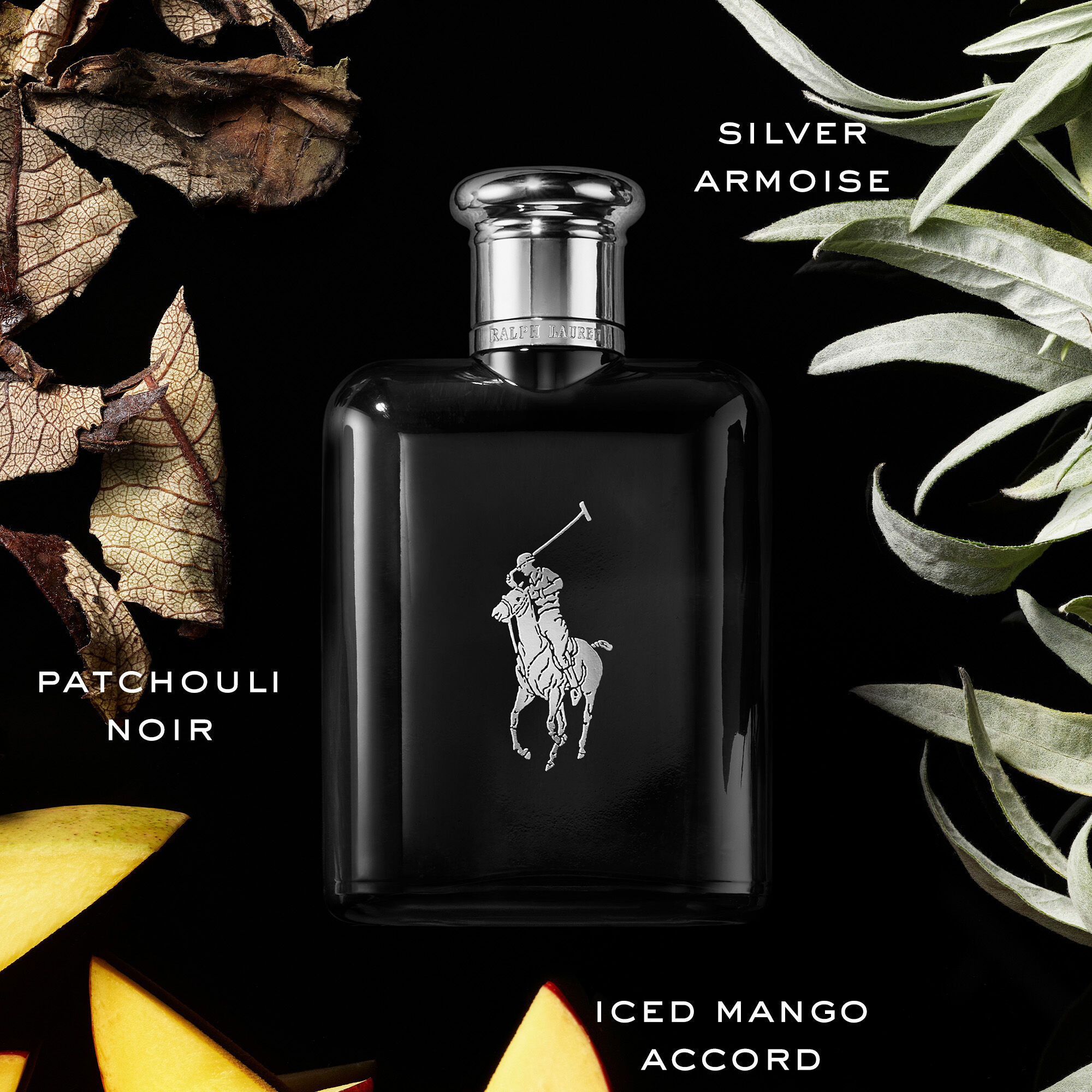 Shop Polo Black Eau De Toilette Ralph Lauren Fragrances